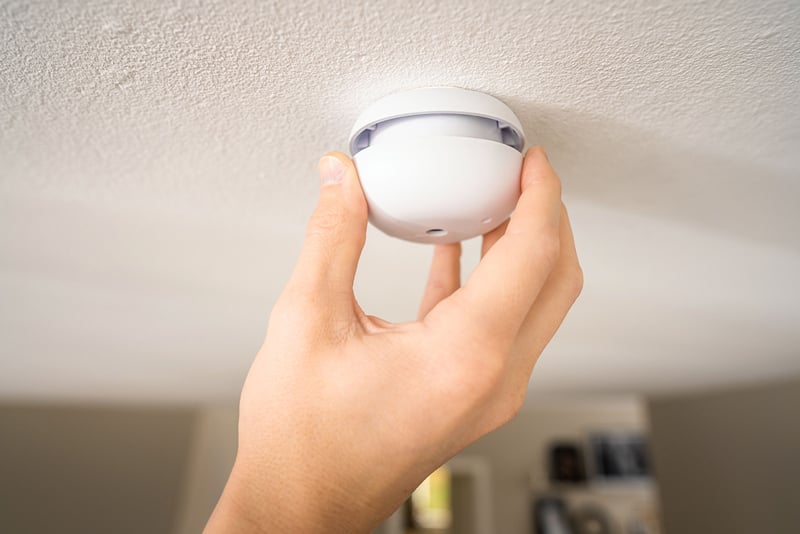 Palovaroitin Housegard Pebble Mini - 1