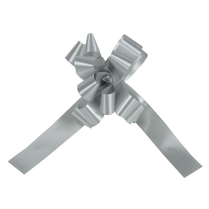 Vetorusetti Poly, hopea - 1