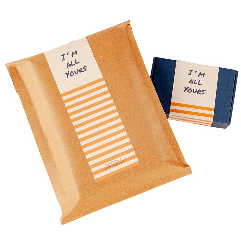 Pitkä sulkijatarra Striped Stories, apricot/creme - 2