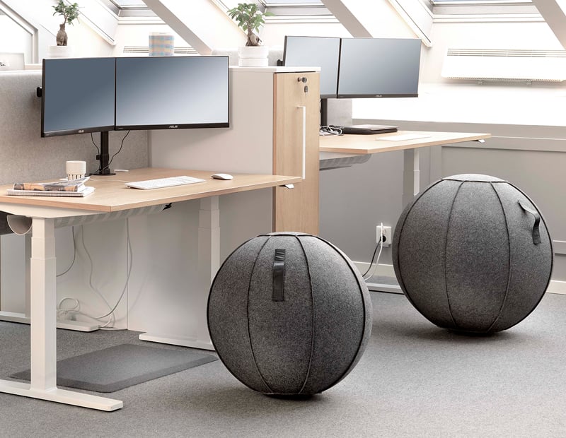 Istuinpallo Office - 1